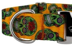 Country Brook Petz 1 1/2 Inch Premium Sugar Skulls Dog Collar -Pet Shop GUEST c0e26371 0fb9 4d47 9e92 c4ff30d3f6a9
