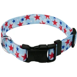 Country Brook Petz Deluxe American Celebration Dog Collar - Made In The U.S.A. (1 Inch, Medium) -Pet Shop GUEST c0e4b01b 226d 47e6 96ce 8f2c06094ca8