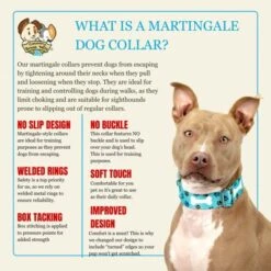 Country Brook Petz HossFit Jr Wide Martingale Dog Collar - Dog's Life Collection 16 Country Brook Petz HossFit Jr Wide Martingale Dog Collar - Dog's Life Collection -Pet Shop GUEST c119d783 c96d 4e94 8c3e e43920a2c352