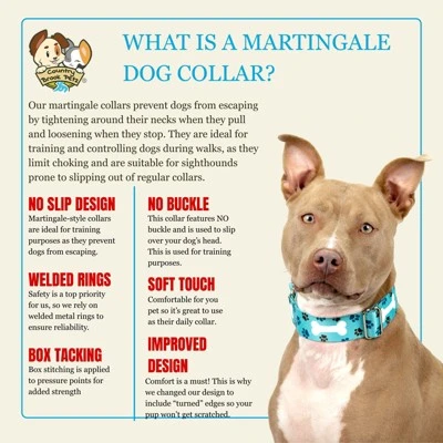 Country Brook Petz HossFit Jr Wide Martingale Dog Collar - Dog's Life Collection 6 Country Brook Petz HossFit Jr Wide Martingale Dog Collar - Dog's Life Collection - Image 4