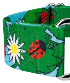 Country Brook Petz 1 1/2 Inch Ladybug Picnic Martingale Dog Collar -Pet Shop GUEST c15e59e7 94b6 4f37 a148 1a49b153cb86