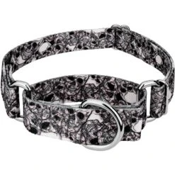 Country Brook Petz Phantom Skulls Martingale Dog Collar (1 Inch, Medium) -Pet Shop GUEST c171f787 a3e4 41b2 82a4 42448c731d64