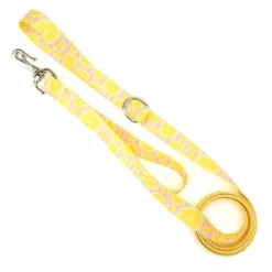 Country Brook Petz 6 Foot Dog Leash - Tasty Collection -Pet Shop GUEST c1969158 36af 4d80 bcd4 a947485d2a5d