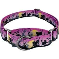 Country Brook Petz Graveyard Gunmetal Martingale Dog Collar (1 Inch, Extra Large) -Pet Shop GUEST c1ea7a71 d2fb 42dc a26b 170f21a21f9a