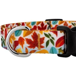 Country Brook Design® Deluxe Dog Collar - Awesome Autumn Collection - Made In The U.S.A. -Pet Shop GUEST c1eace72 af17 4f65 a016 ffa36a8b2934