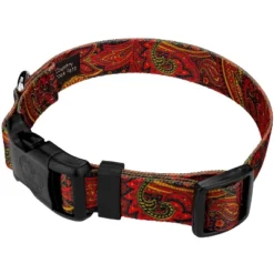Country Brook Petz Fire Paisley Deluxe Dog Collar And Leash