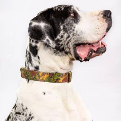 Country Brook Petz Southern Forest Camo Martingale Dog Collar 7 Country Brook Petz Southern Forest Camo Martingale Dog Collar - Image 5