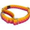 Country Brook Petz Martingale Dog Collar - Abstract Collection -Pet Shop GUEST c31d01ad 25bd 4bce 98c6 83327ca9397d