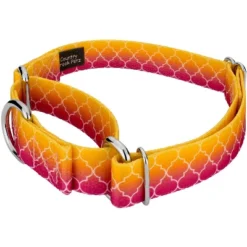 Country Brook Petz Martingale Dog Collar - Abstract Collection
