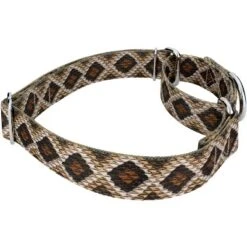 Country Brook Petz - Rattlesnake Martingale Dog Collar -Pet Shop GUEST c370e805 2420 4c9a bd9a 72cdd855269e