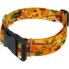 Country Brook Petz HossFit Jr Wide Deluxe Dog Collar - Awesome Autumn Collection