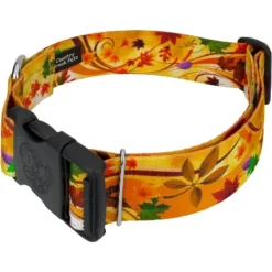 Country Brook Petz HossFit Jr Wide Deluxe Dog Collar - Awesome Autumn Collection