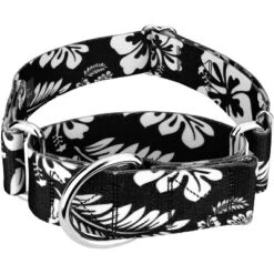Country Brook Petz 1 1/2 Inch Black Hawaiian Martingale Dog Collar -Pet Shop GUEST c4aec7b8 b1c7 4b4e a4f9 40d274612658