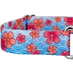 Country Brook Petz Martingale Dog Collar - Spring Collection 10 Country Brook Petz Martingale Dog Collar - Spring Collection -Pet Shop GUEST c576c9b7 4d47 4246 b9c6 86da97303feb
