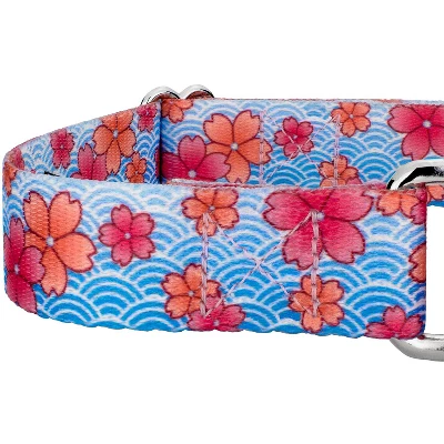Country Brook Petz Martingale Dog Collar - Spring Collection 6 Country Brook Petz Martingale Dog Collar - Spring Collection - Image 4
