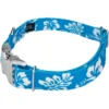Country Brook Petz Premium Blue Hawaiian Dog Collar 2 Country Brook Petz Premium Blue Hawaiian Dog Collar -Pet Shop GUEST c58f08a7 9c21 4361 8a39 88b4e43b7501