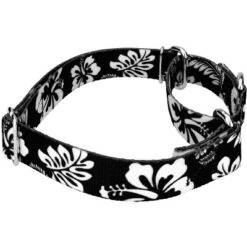 Country Brook Petz - Black Hawaiian Martingale Dog Collar 13 Country Brook Petz - Black Hawaiian Martingale Dog Collar -Pet Shop GUEST c5e40901 faa7 490d a079 8e677d04e5cc