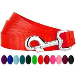 Country Brook Petz 6ft By 3/4 Inch Heavyduty Doublehandle Nylon Leash -Pet Shop GUEST c5f280eb 5305 4a96 84af 9cce91ce2022