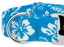 Country Brook Petz 1 1/2 Inch Premium Blue Hawaiian Dog Collar -Pet Shop GUEST c65aec90 d58c 4249 8863 1ca65517a073