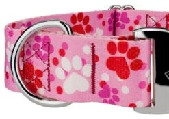 Country Brook Petz 1 1/2 Inch Premium Puppy Love Dog Collar -Pet Shop GUEST c66fc36c d40c 48d3 a30f cf14c72fc16d