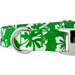 Country Brook Petz Premium Kelly Green Hawaiian Dog Collar -Pet Shop GUEST c6b072e2 cf4a 4d22 b389 7f0198abc0d0