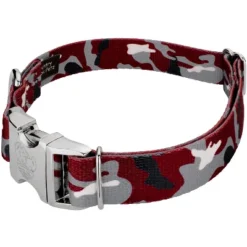 Country Brook Petz Premium Dog Collar - Sports And Athletics Collection