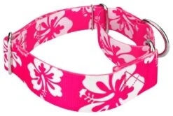 Country Brook Petz 1 1/2 Inch Pink Hawaiian Martingale Dog Collar 14 Country Brook Petz 1 1/2 Inch Pink Hawaiian Martingale Dog Collar -Pet Shop GUEST c8717d21 f45d 4a59 a8b9 354e64feabeb