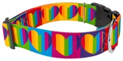 Country Brook Petz 1 1/2 Inch Deluxe Rainbow Hearts Dog Collar 11 Country Brook Petz 1 1/2 Inch Deluxe Rainbow Hearts Dog Collar -Pet Shop GUEST c8a71c2d efb8 4041 a88e 696d4cfe6bb8