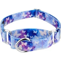 Country Brook Petz - Watercolor Butterflies Martingale Dog Collar -Pet Shop GUEST c8b1ac42 01ec 4564 9468 20877a2b6d0c