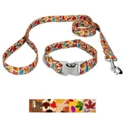 Country Brook Petz Premium Collar And Leash - Awesome Autumn Collection -Pet Shop GUEST c985d951 71a1 4f93 8a50 69e76de9a8c0