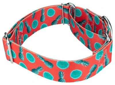 Country Brook Petz 1 1/2 Inch Tropical Tango Martingale Dog Collar 4 Country Brook Petz 1 1/2 Inch Tropical Tango Martingale Dog Collar - Image 2