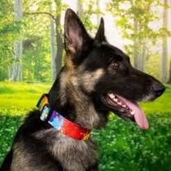 Country Brook Petz 1 1/2 Inch Deluxe Paint Splatter Dog Collar