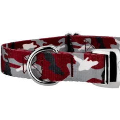 Country Brook Petz Premium Dog Collar - Sports And Athletics Collection -Pet Shop GUEST cb37e6c0 1c39 4e5c 9bfc 27a5fa5d64bb