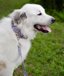 Country Brook Petz 1 1/2 Inch Blue Boho Mandala Martingale Dog Collar