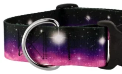 Country Brook Petz 1 1/2 Inch Deluxe Heavenly Space Dog Collar -Pet Shop GUEST cc642370 079a 4bdc 9ced 7d01a00c1c46