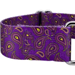 Country Brook Petz 1 1/2 Inch Purple Paisley Martingale Dog Collar -Pet Shop GUEST cc825df1 d503 4d08 83ab bfa67381a462
