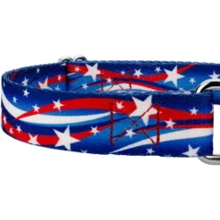 Country Brook Petz - Star Spangled Martingale Dog Collar -Pet Shop GUEST cc86b0aa 72b4 40c0 bb6b f3bbf32a87ac