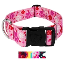 Country Brook Petz HossFit Jr Wide Deluxe Dog Collar - Affection Collection -Pet Shop GUEST cc97e1f0 9ad8 4f7b 9ed8 e42dc863fe0e