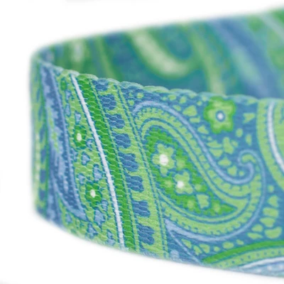 Country Brook Design® 1 Inch Green Paisley Leash - 6 Feet 6 Country Brook Design® 1 Inch Green Paisley Leash - 6 Feet - Image 4