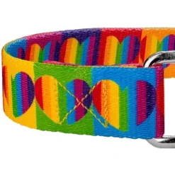 Country Brook Petz Rainbow Hearts Martingale Dog Collar -Pet Shop GUEST ccb30b82 6b48 413f ad61 6e77db736dc8