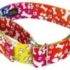 Country Brook Petz 1 1/2 Inch Trippy Doggo Martingale Dog Collar 1 Country Brook Petz 1 1/2 Inch Trippy Doggo Martingale Dog Collar -Pet Shop GUEST cd787985 c3a5 46c8 bc00 f90834bd6aa0