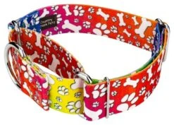 Country Brook Petz 1 1/2 Inch Trippy Doggo Martingale Dog Collar