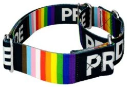 Country Brook Petz 1 1/2 Inch Pride Martingale Dog Collar -Pet Shop GUEST cdcded57 17c4 436d a7eb fa3a5dddb2f1