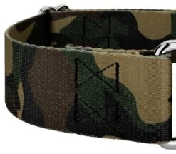 Country Brook Petz 1 1/2 Inch Woodland Camo Martingale Dog Collar -Pet Shop GUEST cf7719ea 7670 4927 b5fc b05e7e0f615d