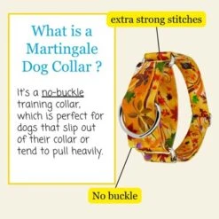 Country Brook Petz HossFit Jr Wide Martingale Dog Collar - Awesome Autumn Collection