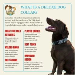 Country Brook Petz Deluxe Leopard Print Dog Collar - Made In The U.S.A. (1/2 Inch, Extra Small) -Pet Shop GUEST d0615340 a20d 41e9 8f31 77eebbe933f4