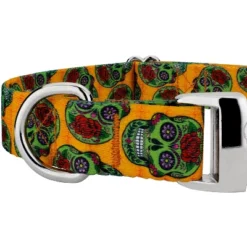 Country Brook Petz Premium Sugar Skulls Dog Collar (1 Inch, Extra Large) -Pet Shop GUEST d097b5d7 de62 4927 82c4 f951b8dc50c5