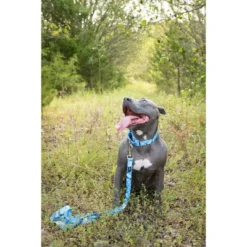 Country Brook Petz Martingale Dog Collar - Camouflage Collection -Pet Shop GUEST d0c86718 10b1 48b7 b232 0f05a07f2e78