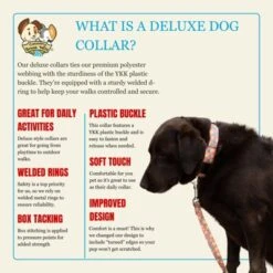 Country Brook Petz Deluxe Dog Collar - Made In The U.S.A. - Tasty Collection -Pet Shop GUEST d100074f 5c34 4fb6 a605 a7810f0e0b4a