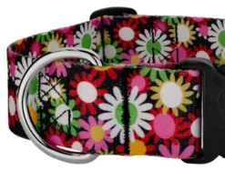 Country Brook Petz 1 1/2 Inch Deluxe Daisy Fields Dog Collar 9 Country Brook Petz 1 1/2 Inch Deluxe Daisy Fields Dog Collar -Pet Shop GUEST d12c7bcf ee55 490e 993b 03bf2aa26520